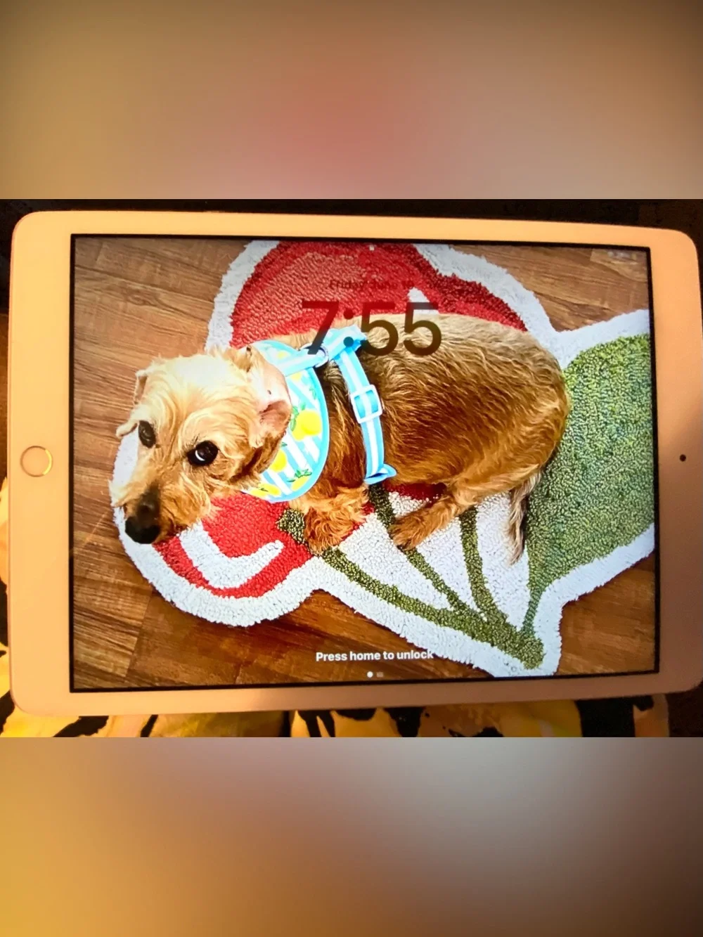 Apple IPad 7th generation, 32 GB, Home Button. Replaced by AppleCare 6 mo agoEUC